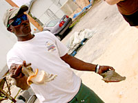Ronnie demonstrating how to take the mollusk out of its conch shell.
